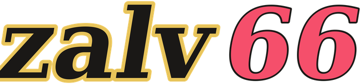 zalv66 logo